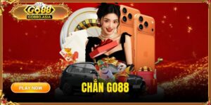 Chắn