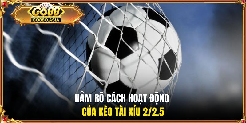 Kèo Tài Xỉu 2-2.5 Là Gì? Giải Đáp Từ A Đến Z Cho Bạn Đọc 2 Nắm rõ cách hoạt động của kèo tài xỉu 2/2.5