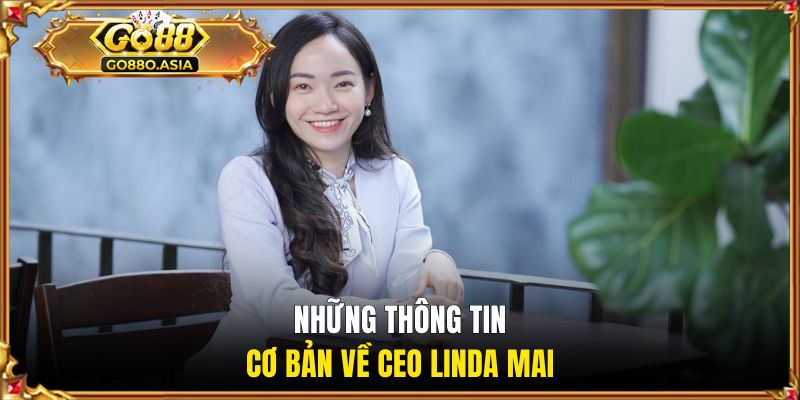 CEO Linda Mai 1 Những thông tin cơ bản về CEO Linda Mai
